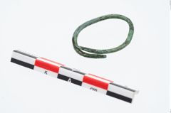 Foto von Bronzering (NHMW-PRAE-024226)